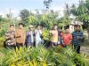 Walikota Prabumulih Salurkan 4.581 Bibit Kelapa Sawit untuk Petani di Desa Kemang Tanduk