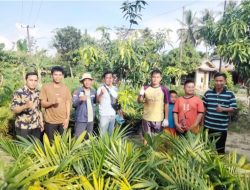 Walikota Prabumulih Salurkan 4.581 Bibit Kelapa Sawit untuk Petani di Desa Kemang Tanduk